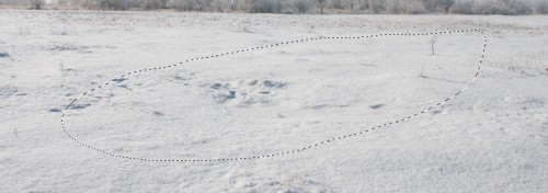 3 snow texture 500x176 Design a Snowy Arctic Text Effect in Photoshop