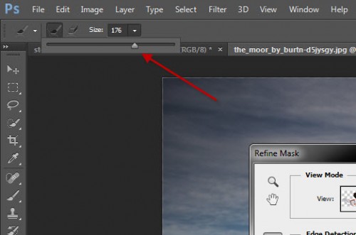1 adjust size 1 adjust size 500x331 Quick and Effective Hair Extraction Techinque via Refine Mask in Photoshop (CS5+)