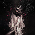 Manipulative Human Artwork with Particles and Flying Flower Petals in Photoshop